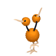 doduo 0 lisi